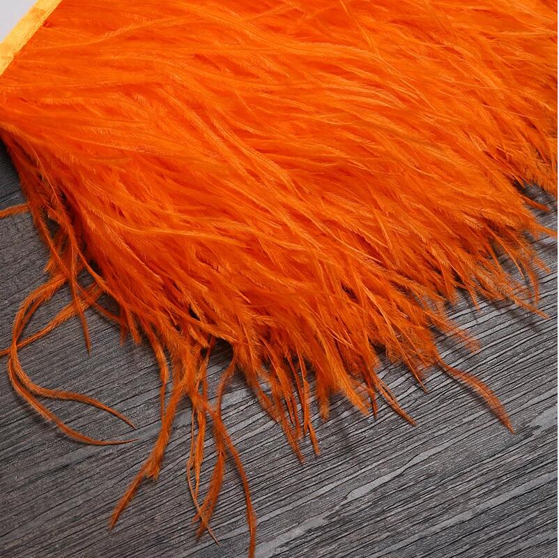 13-18CM 6M Lông Đà Điểu Viền D - đánh giá và giá Feather Trim Marabou