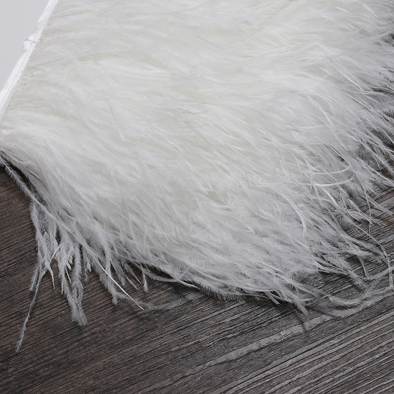13-18CM 6M Lông Đà Điểu Viền D - đánh giá và giá Feather Trim Marabou